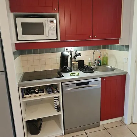 Cosy Sous Pinede De Renove *