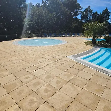 Apartmán Cosy Sous Pinede De Renove Wifi Biscarrosse