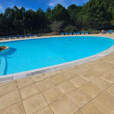 Cosy Sous Pinede De Renove Biscarrosse